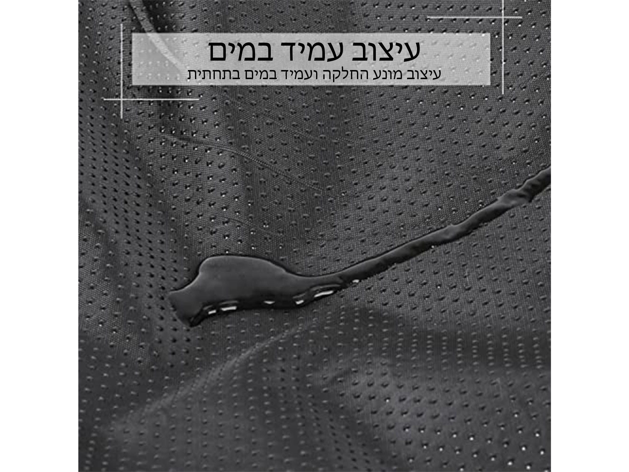 מארז מיטה + קולר לחיות מחמד